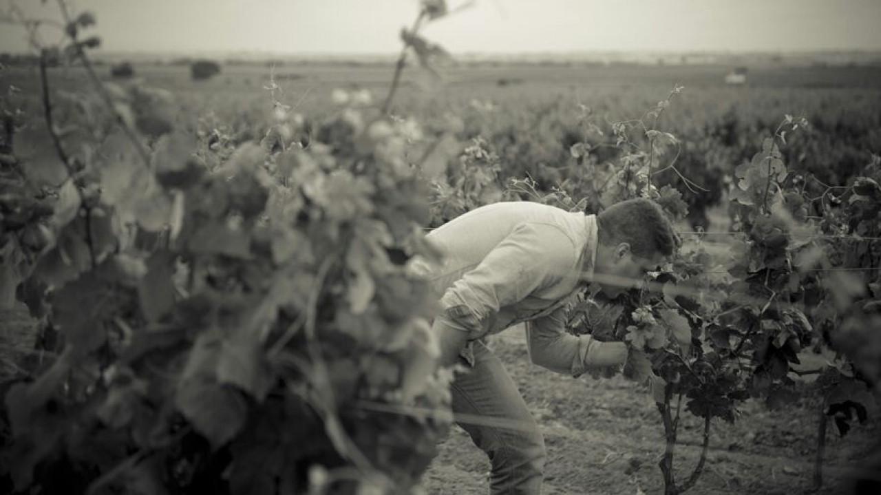 Vidal Alejandro Pérez, propietario de la microbodega albaceteña 4 Verticilos