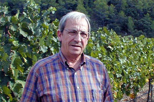 José Luis Pérez